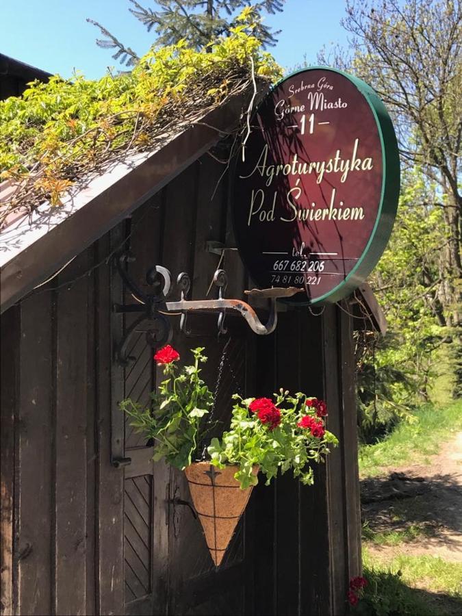 Agroturystyka Pod Swierkiem Srebrna Góra Exterior foto