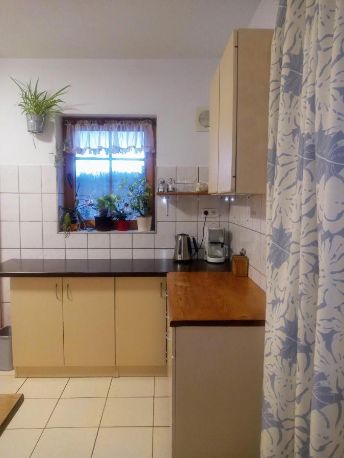 Agroturystyka Pod Swierkiem Srebrna Góra Exterior foto